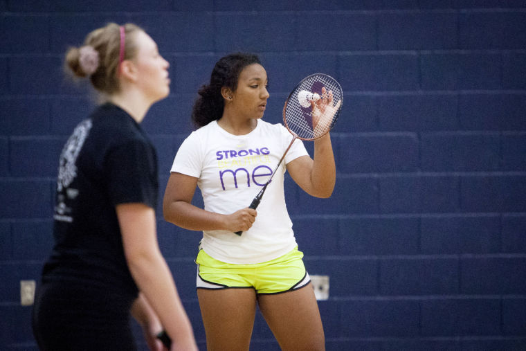 DV Badminton